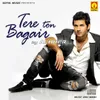 Tere Ton Bagair